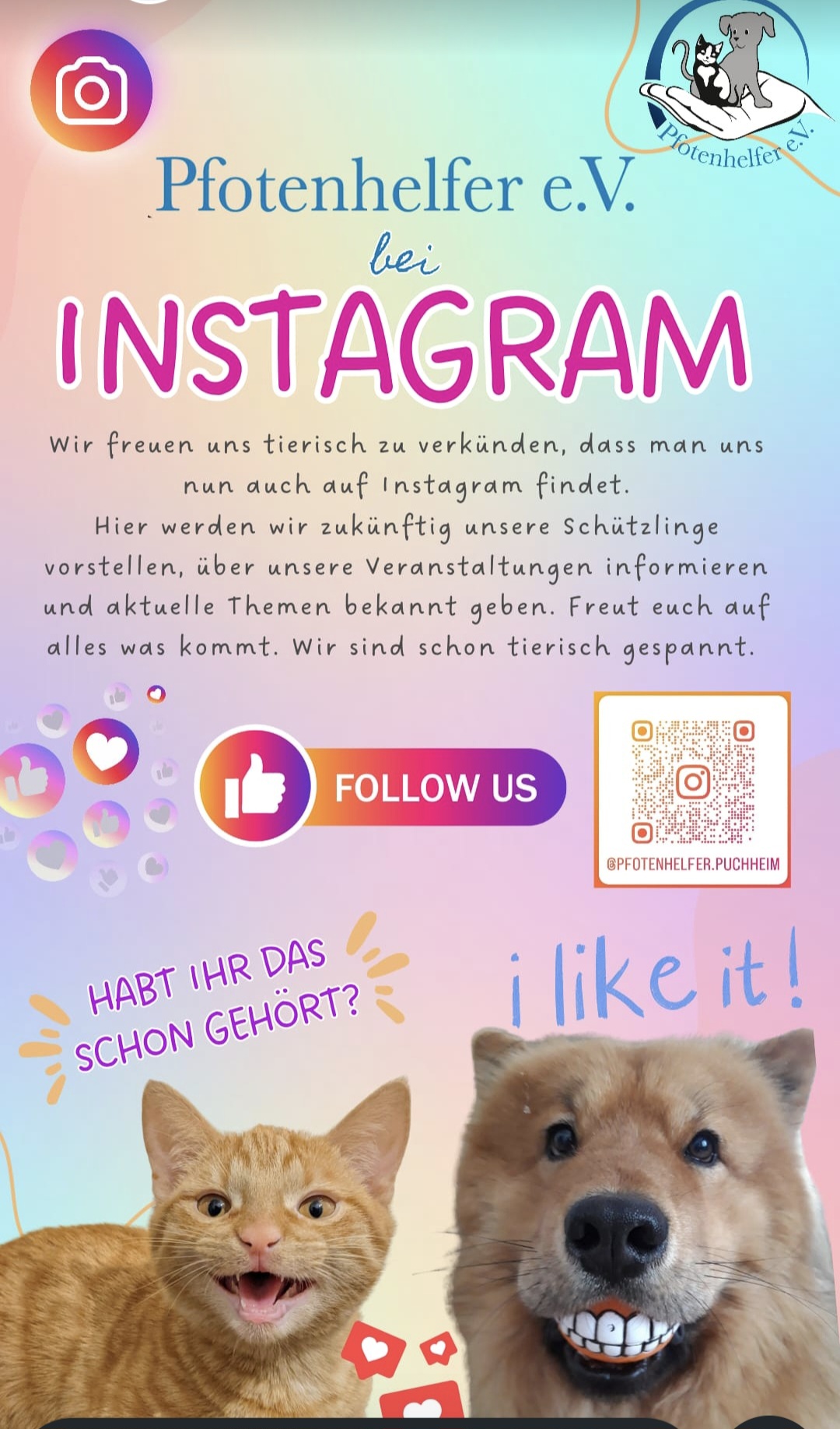 🐾Ein Blick hinter die Kulissen des Tierschutzes 🐾