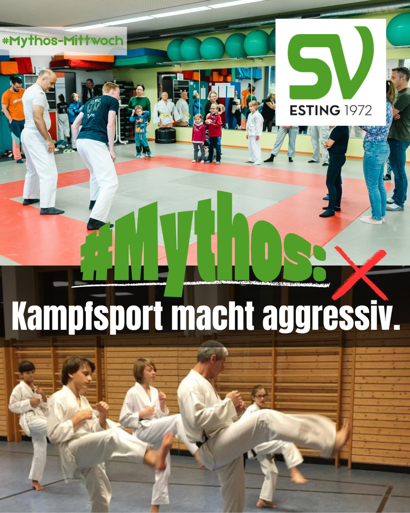 SV Esting – Mythos – Kampfsport macht aggresiv