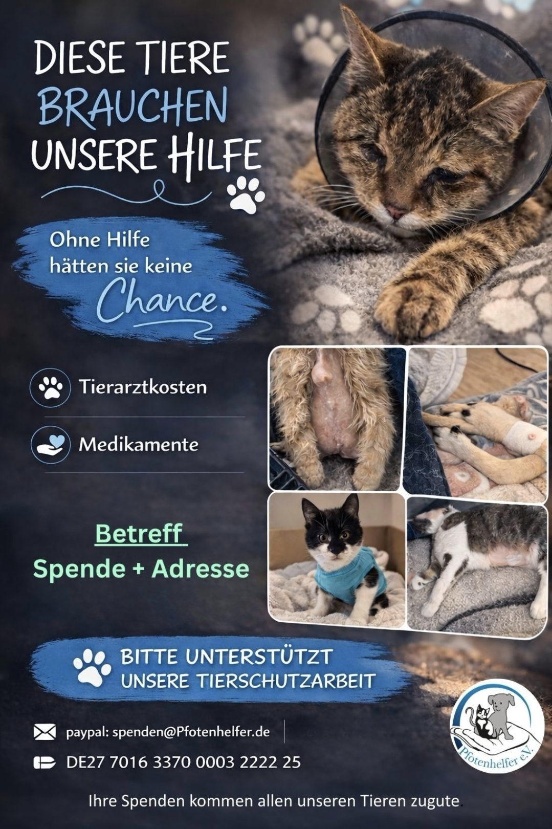 🐾 Diese Tiere brauchen unsere Hilfe – jetzt mehr denn je 🐾
