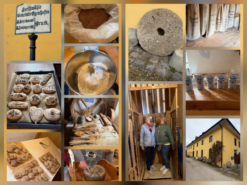 Sozialdienst Olching: Offene Ganztages Schule  (OGTS ) besucht die Furthmühle