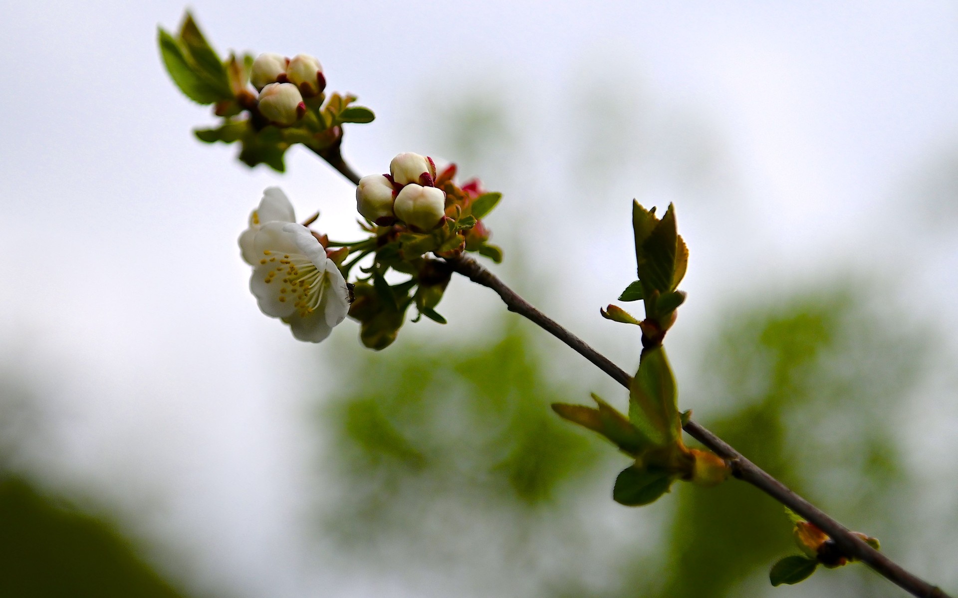 Exkursion nach Weilheim: Pflanzenmarkt & Hofführung mit Apfelsaft-Verköstigung