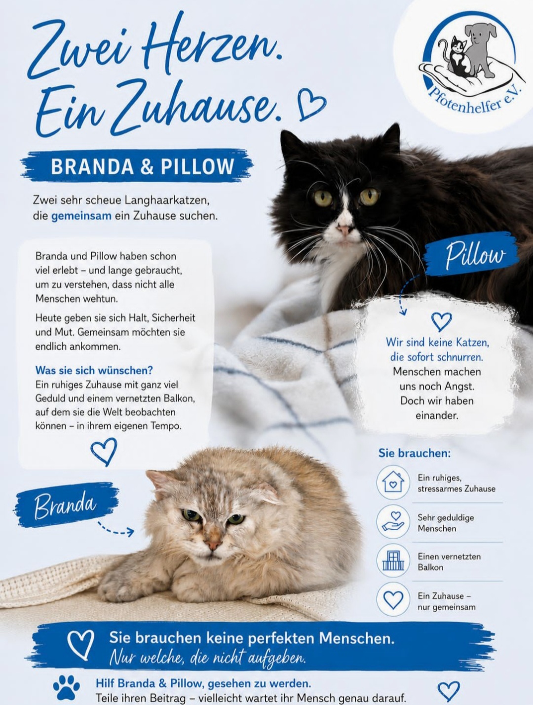 💞 Zwei Herzen. Ein Zuhause 🐾