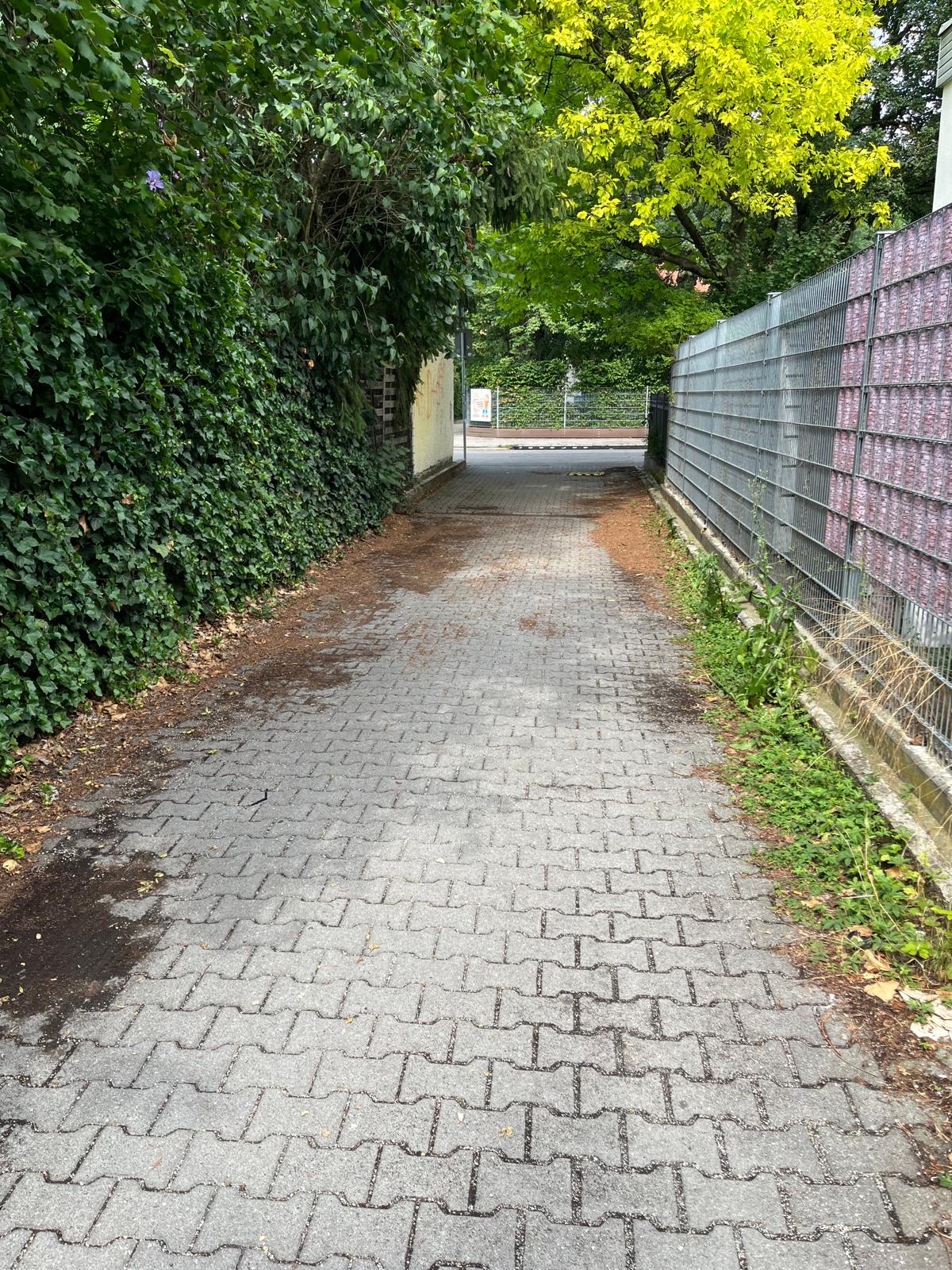 Warum tut die Stadt da nichts?