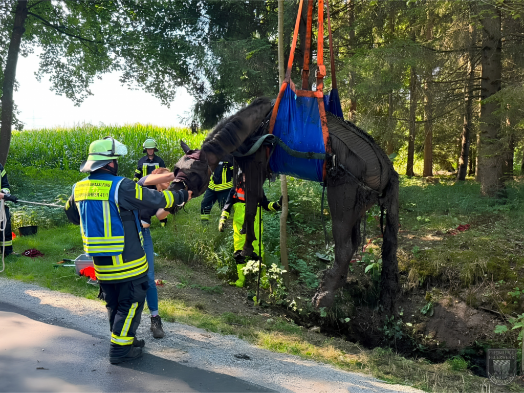 FFW Grasslfing – Einsatz – THL Großtierrettung