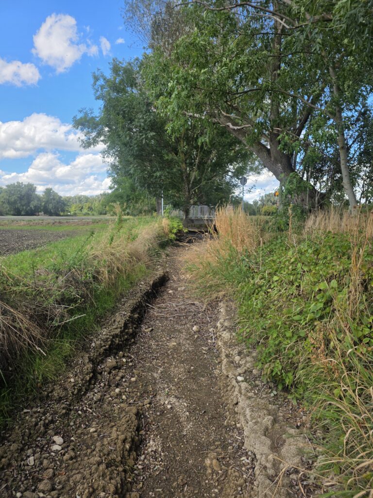 Auch der Regen vom 28. August hat kein Wasser des Starzelbachs bis zur Amper gebracht